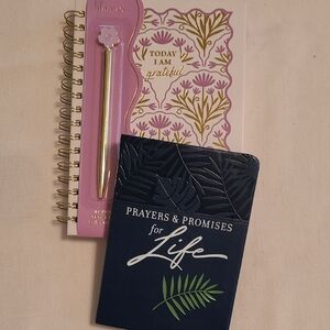 Lila GRACE "Today I AM Grateful Journal, Pen, And Prayer And Promise Book Set
